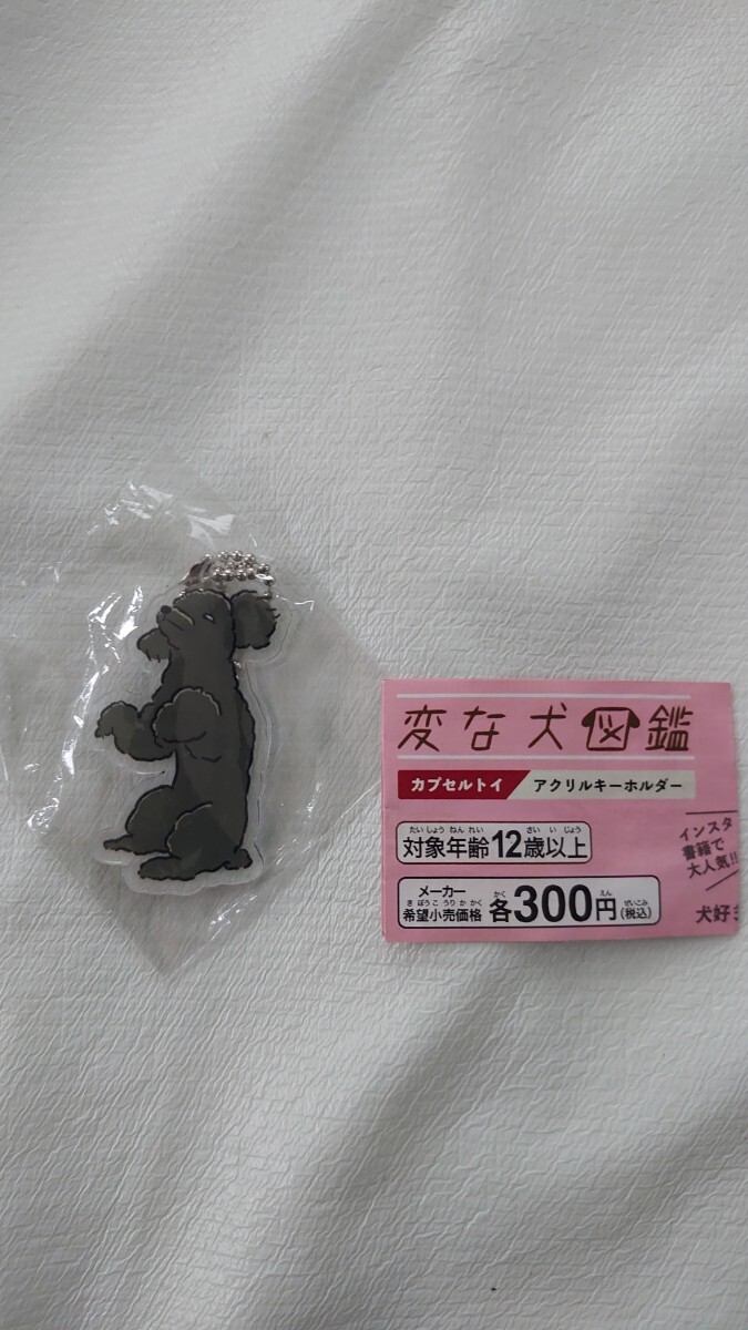 ガチャ 変な犬図鑑 シロメムキーヌ 未開封 ガシャポン拍卖