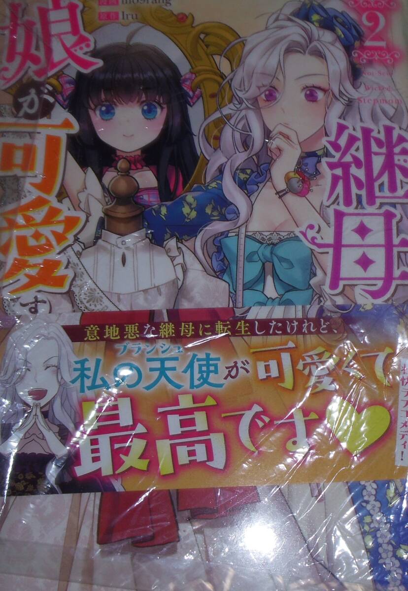 継母だけど娘が可愛すぎる 2巻拍卖