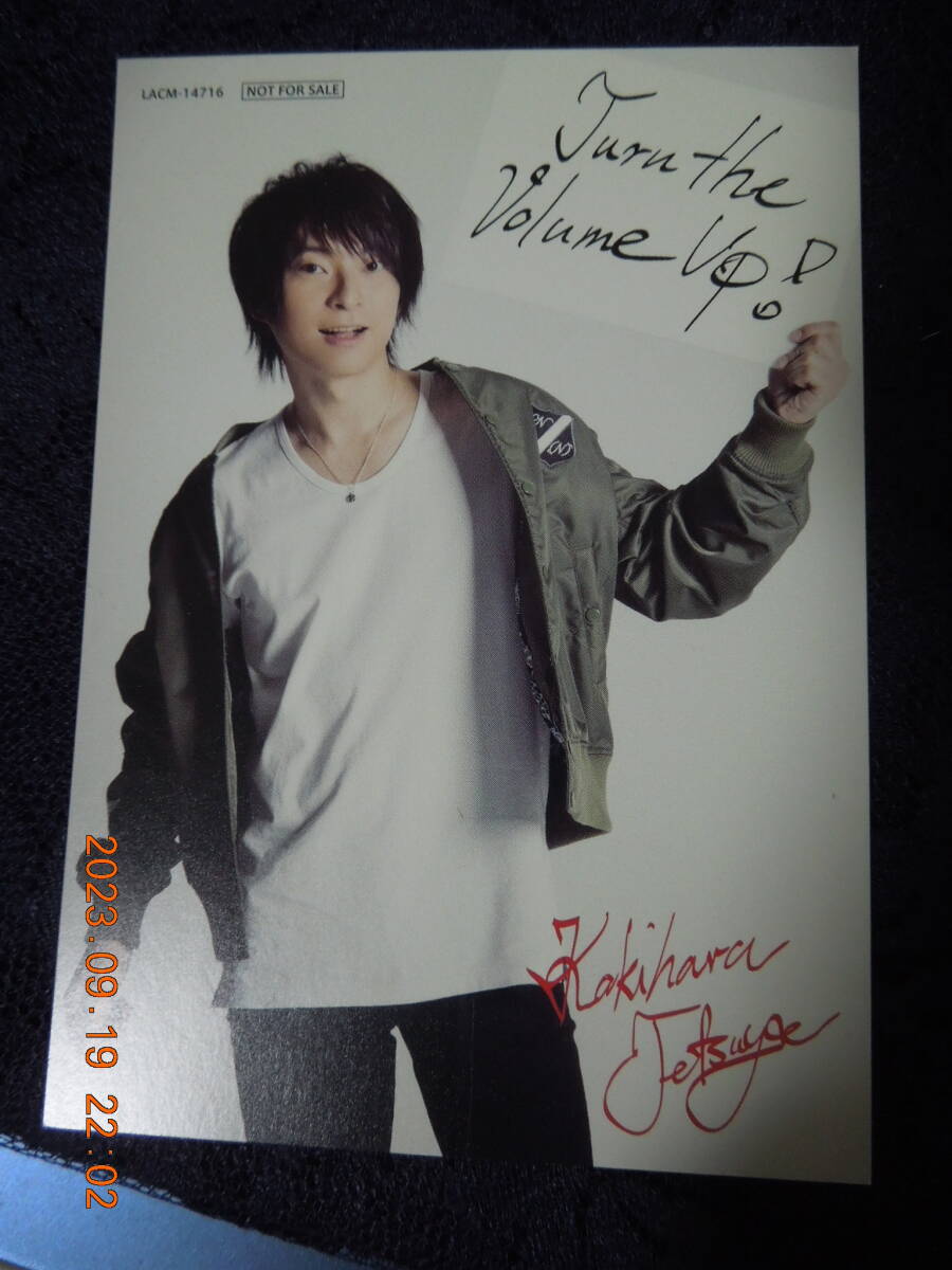 柿原徹也 メッセージカード /「CD DIAMOND BEAT 通常盤」 初回生産分封入特典 / 非売品 フォトカード拍卖