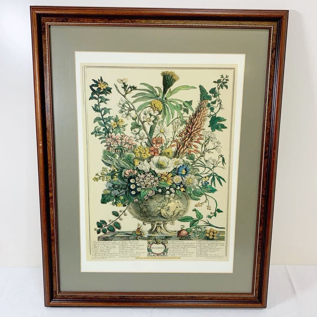 ★大阪/店舗受け取り可★ロバート・ファーバー プリントアート フラワー 花 モダン フレーム付き インテリア 芸術 飾り オブジェ 壁掛け★拍卖