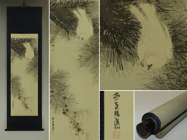 【模写】富田渓仙【松に鳩図】◆絹本◆合箱◆掛軸 s07038拍卖