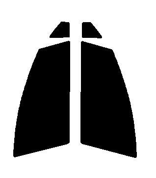 スパッタゴールド60 運転席・助手席 トヨタ アクア NHP10 カット済みカーフィルム 拍卖