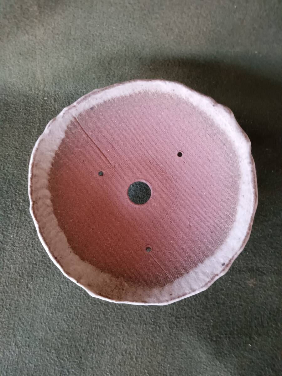 信楽焼  植木鉢  高足付浅鉢 4.5号 山野草鉢 盆栽鉢  ミニ盆栽  小鉢  豆鉢  焼き物 拍卖