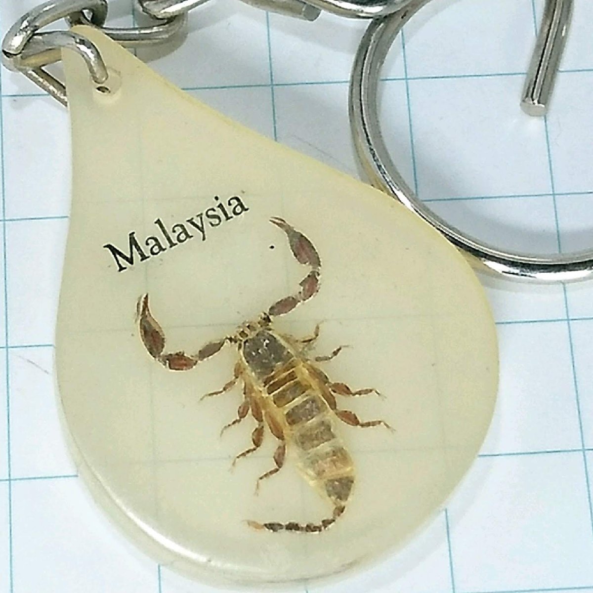 送料無料)マレーシア 蠍 海外 観光 旅行 登山 記念 キーホルダー A26020拍卖
