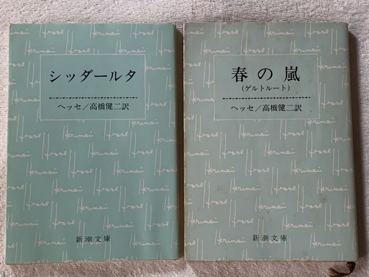 シッダールタ/春の嵐 ヘッセ 新潮文庫 2冊セット拍卖