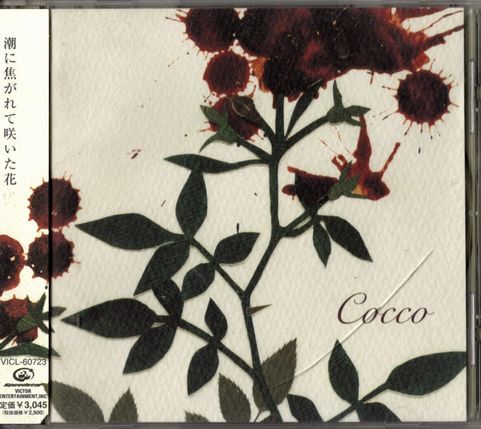 帯付CD★Cocco/サングローズ拍卖