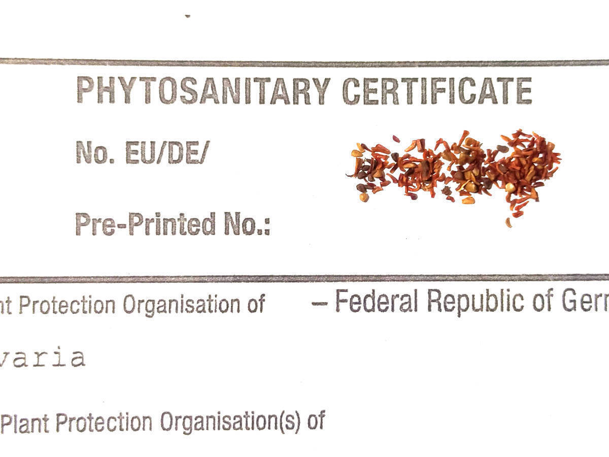 9月入荷 ユーカリ・カマルドレンシス リバーレッドガム 種子 約100粒拍卖