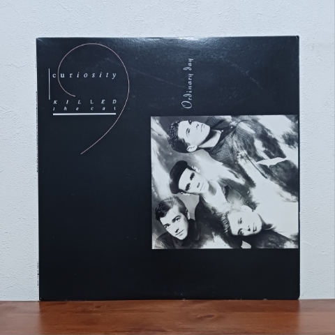 12インチシングル/ キュリオシティ・キルド・ザ・キャット☆CURIOSITY KILLED THE CAT「オーディナリー・デイ / ORDINARY DAY」ライナー付拍卖