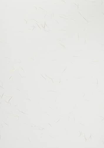 大直 コピー用紙 和紙 花大礼紙 A4 20枚 207180114拍卖