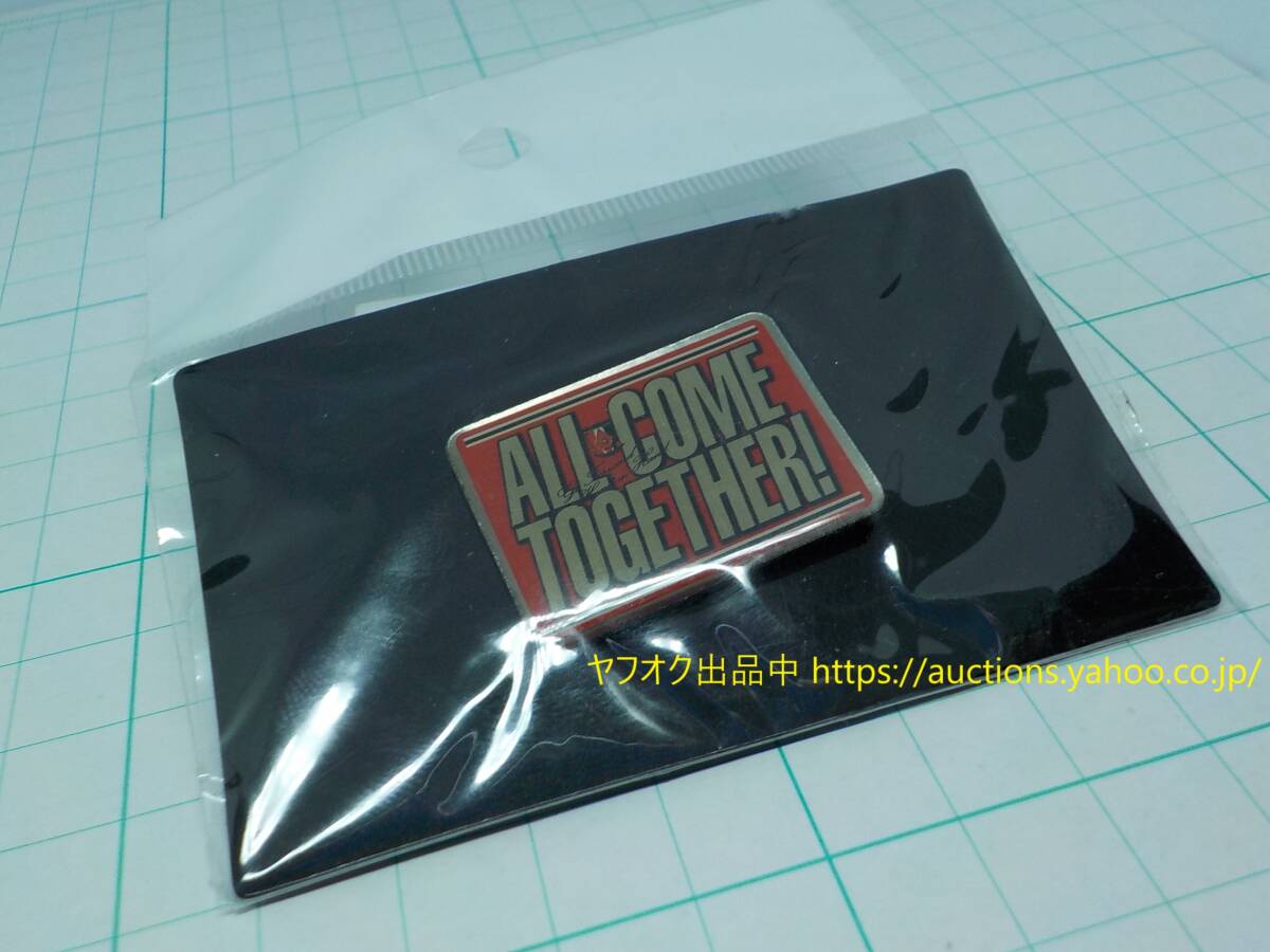 未開封【即決・送料無料】浦和レッズ 2008 ピンバッジ ALL COME TOGETHER! ピンズ ピンバッチ Jリーグ サッカー 624-0拍卖