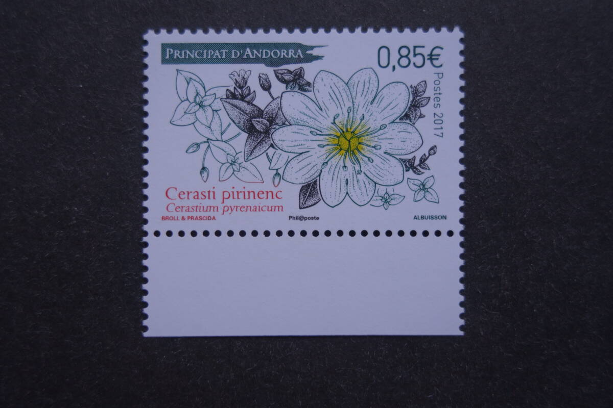 外国切手:アンドラ切手 「Cerastium pyrenaicum」1種完 未使用拍卖