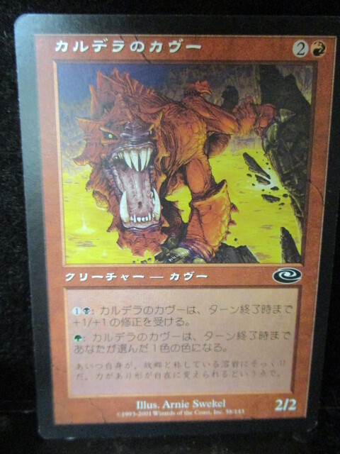 ◎Magic The Gathering  カルデラのカヴー 即決!!拍卖