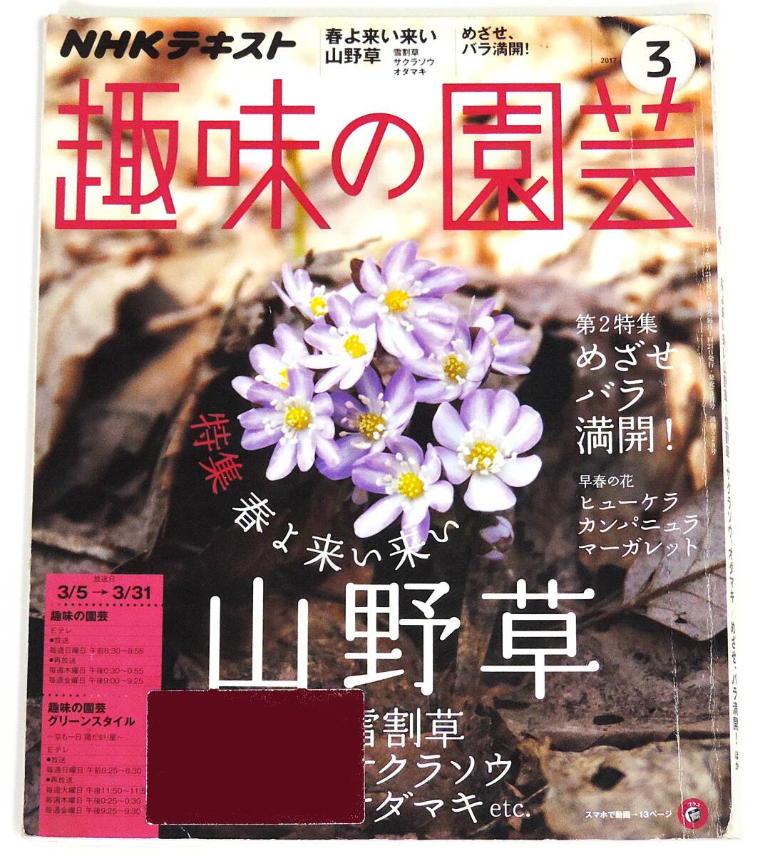 ★ リサイクル図書 ★ NHKテキスト 趣味の園芸 ○ 2017年 3月号 ○ 特集:春よ来い来い 山野草 ◇ 雪割草 ● サクラソウ ■ オダマキ etc.拍卖