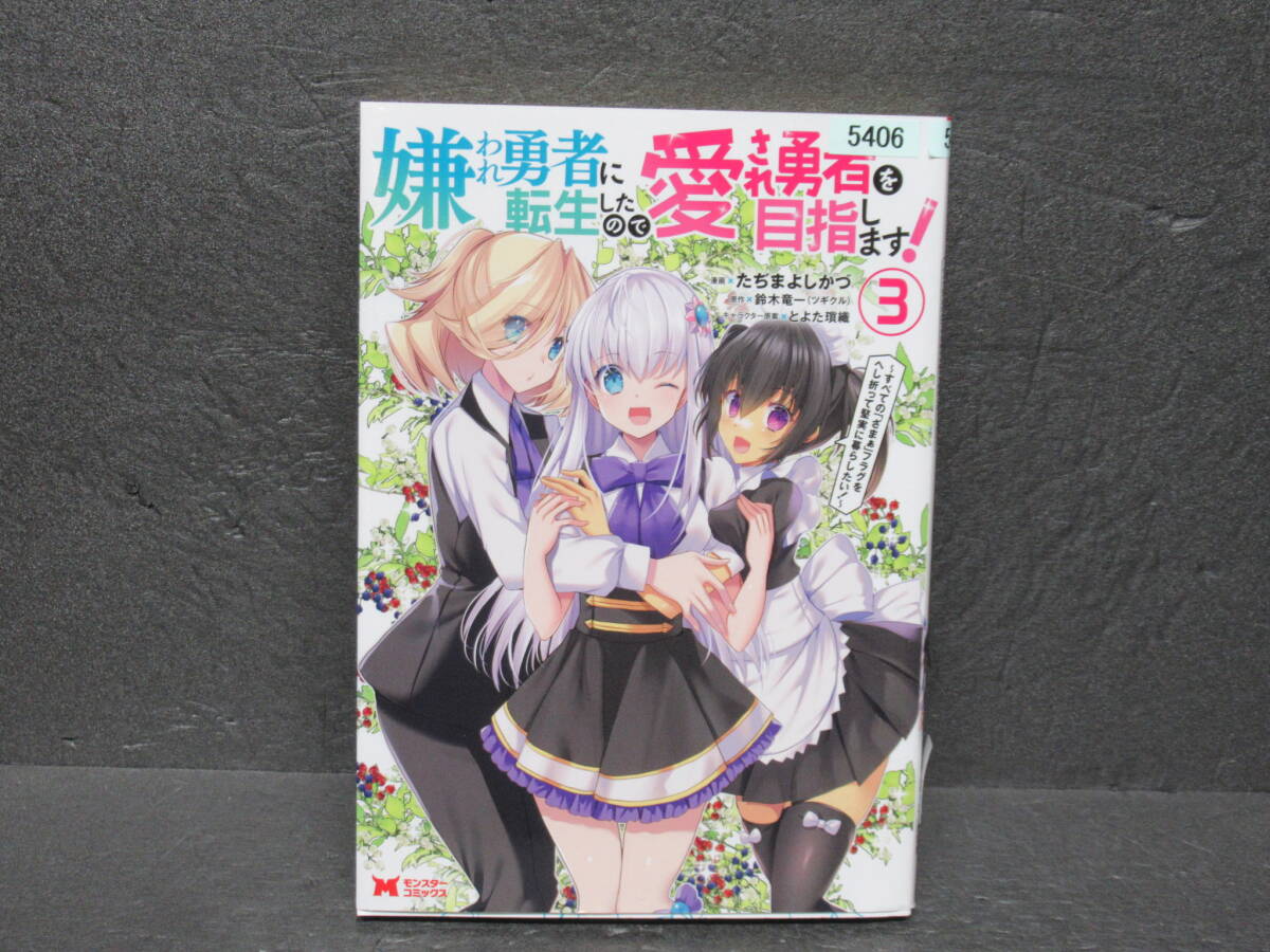 嫌われ勇者に転生したので愛され勇者を目指します!~すべての「ざまぁ」フラグをへし折って堅実に暮らしたい!~ (3) 9/6603拍卖