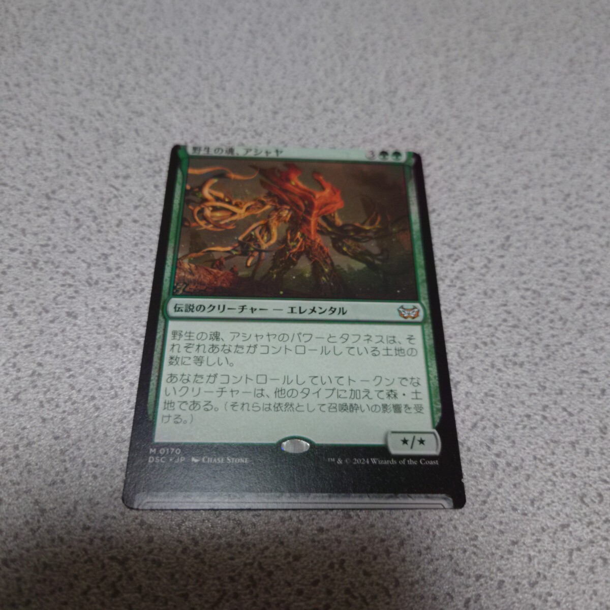 MTG DSK 野生の魂、アシャヤ 日本語 一枚 エラー ダスクモーン:戦慄の館 統率者デッキ DSC 即決拍卖