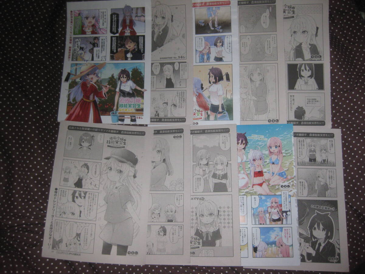 ◎切抜 追放令嬢は技能実習生になりました。 第1~18話(2025年8月号)+α うるし まんがタイムきららMA1拍卖