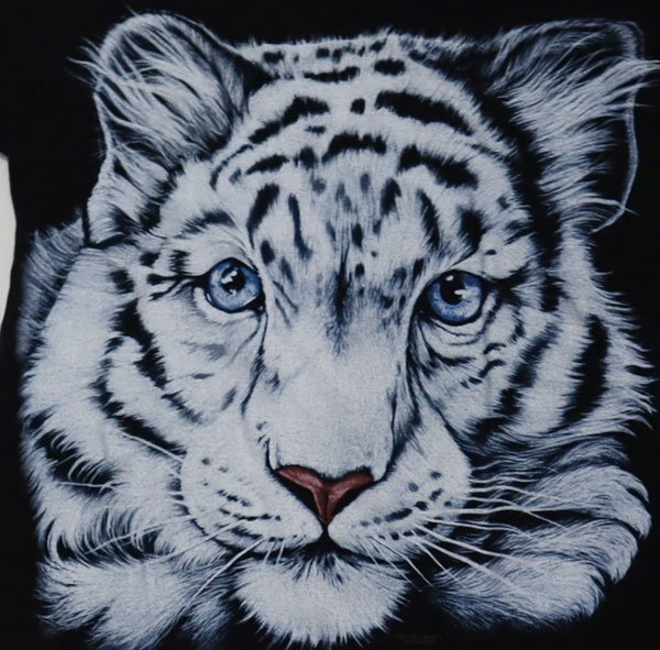 ST65アニマル柄TシャツUNKNOWNアメリカ古着アメリカ製ピューマTシャツ大判プリントTシャツ90’Sビンテージ黒系TシャツMジャガー豹Tシャツ拍卖