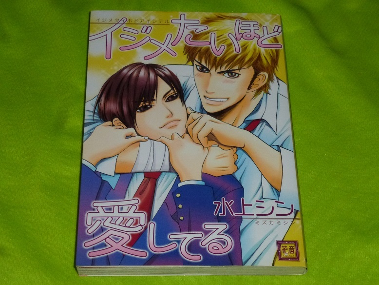 ★イジメたいほど愛してる★水上シン★送料112円拍卖