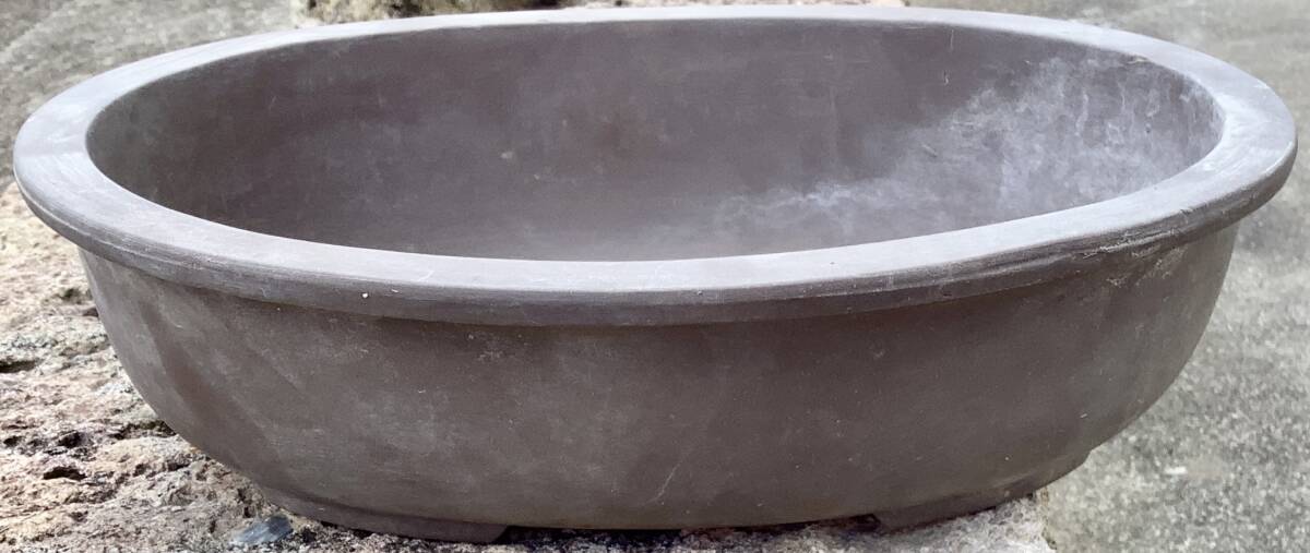 ♪中古美品!盆栽用 楕円鉢 常滑焼/三共 時代もの拍卖