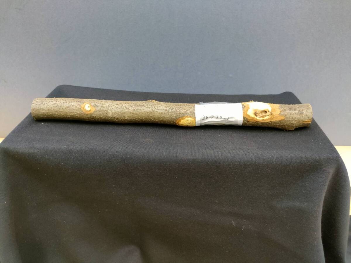 ☆ ⑤ 木工玄能 金槌 石工 コヤスケの柄 山グミ ☆拍卖