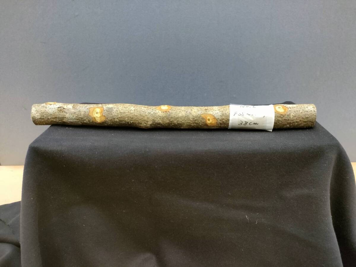 ☆ ⑥ 木工玄能 金槌 石工 コヤスケの柄 山グミ ☆拍卖