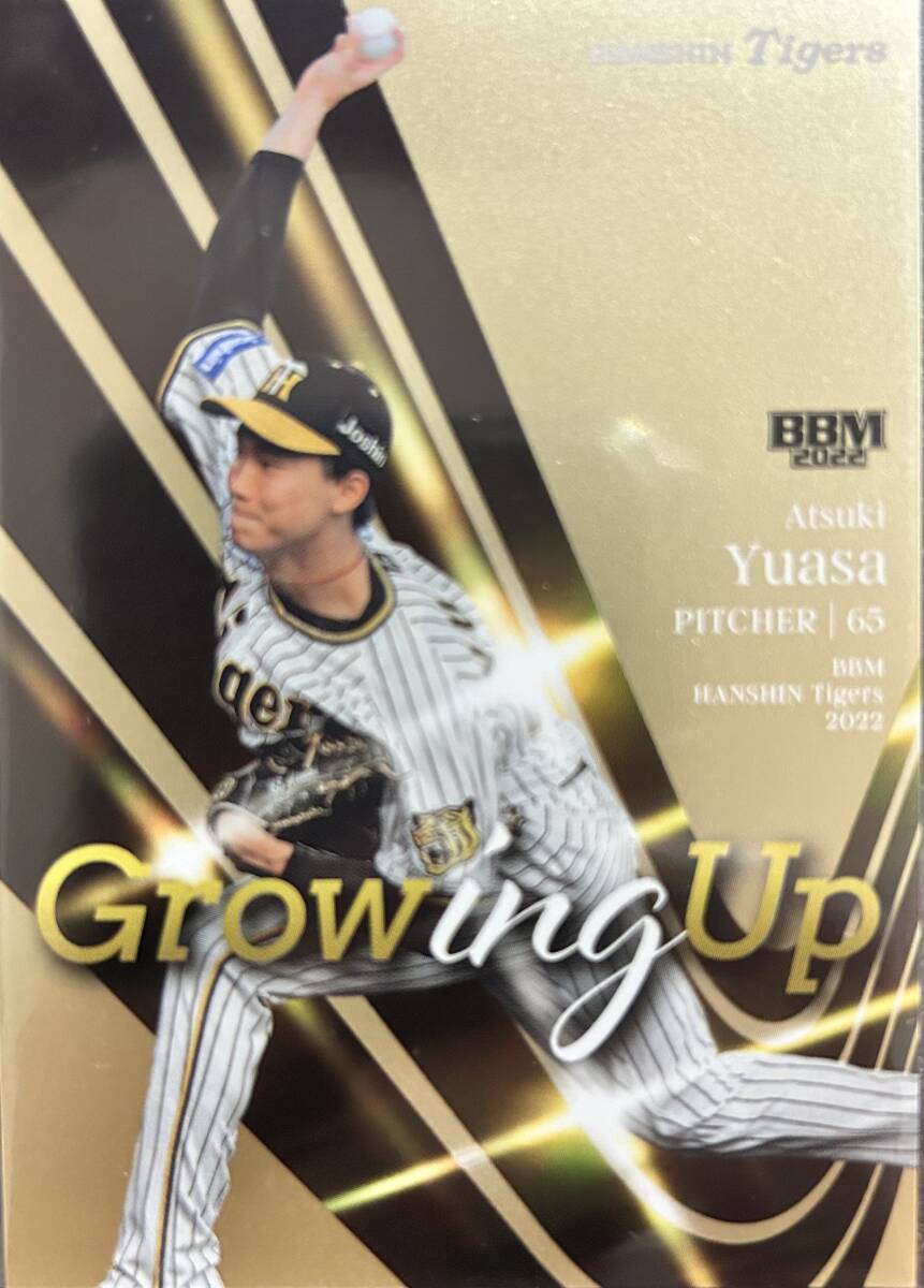 2022BBM 阪神 湯浅京己選手GrowingUpインサートパラレル200枚シリアルカード拍卖