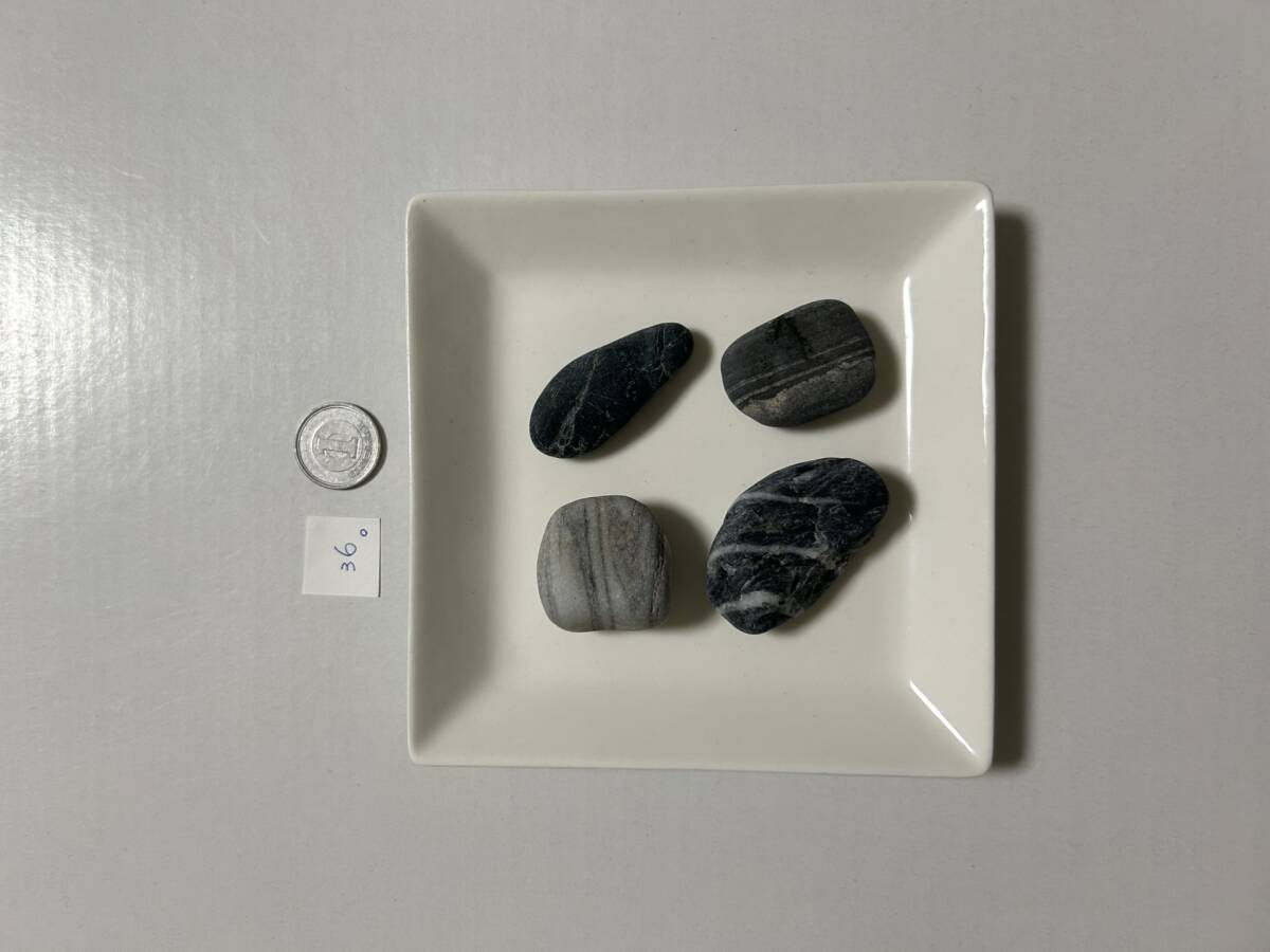 36 シーストーン石拍卖