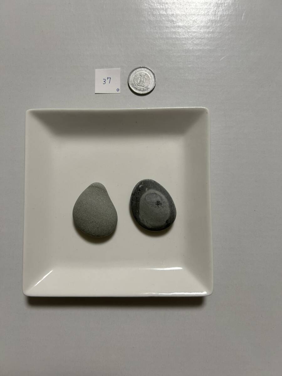 37 シーストーン石拍卖