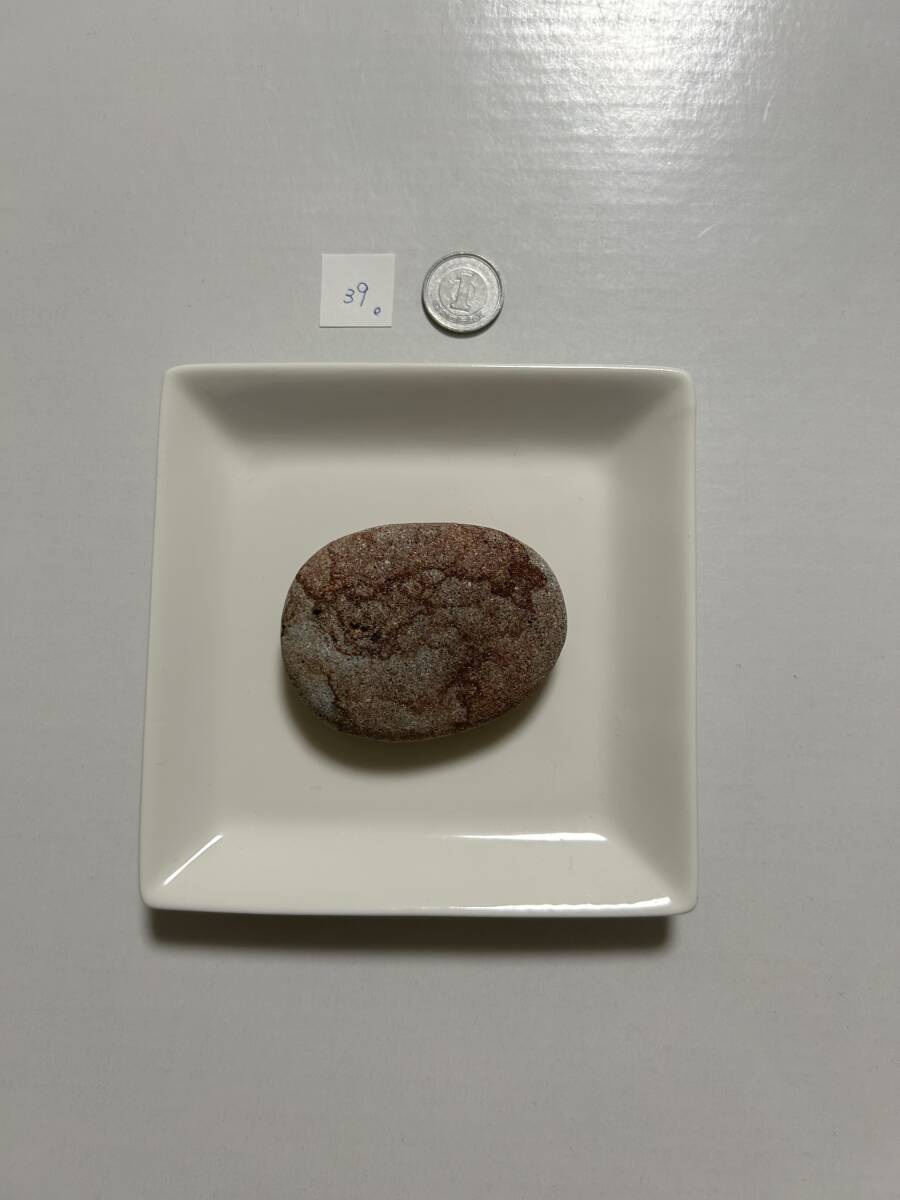 39 シーストーン石拍卖