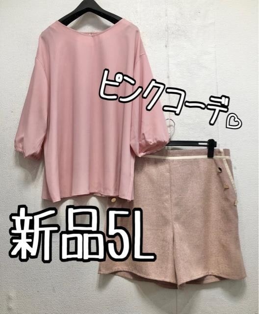 新品☆5L♪ピンク系♪うす手ブラウス&ショートパンツ♪フェミニンセット☆x138拍卖