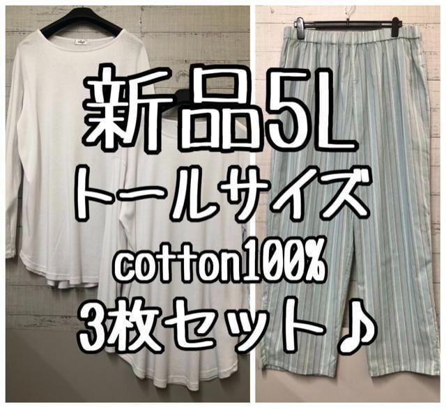 新品☆5Lトールサイズ♪綿100%カットソー2枚&イージーパンツ☆g386拍卖