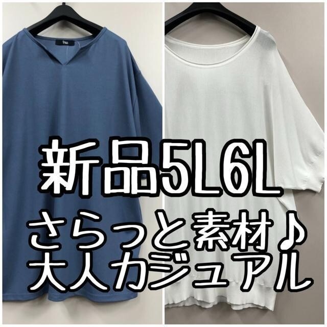 新品☆5L6L♪さらっと吸汗速乾素材の大人カジュアルトップス2枚♪☆g291拍卖