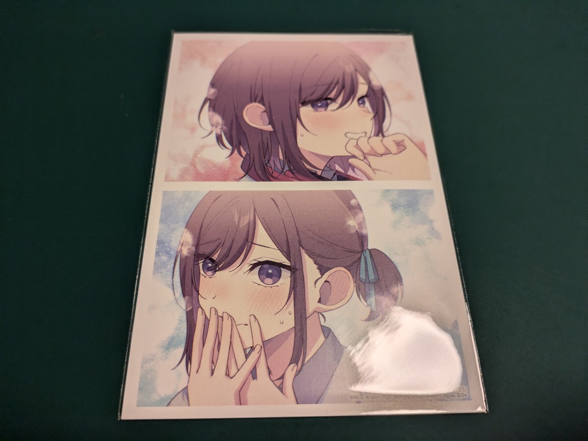 双子まとめて『カノジョ』にしない? 1巻 COMIC ZIN購入特典 イラストカード 白井ムク 飴色みそ 千種みのり拍卖