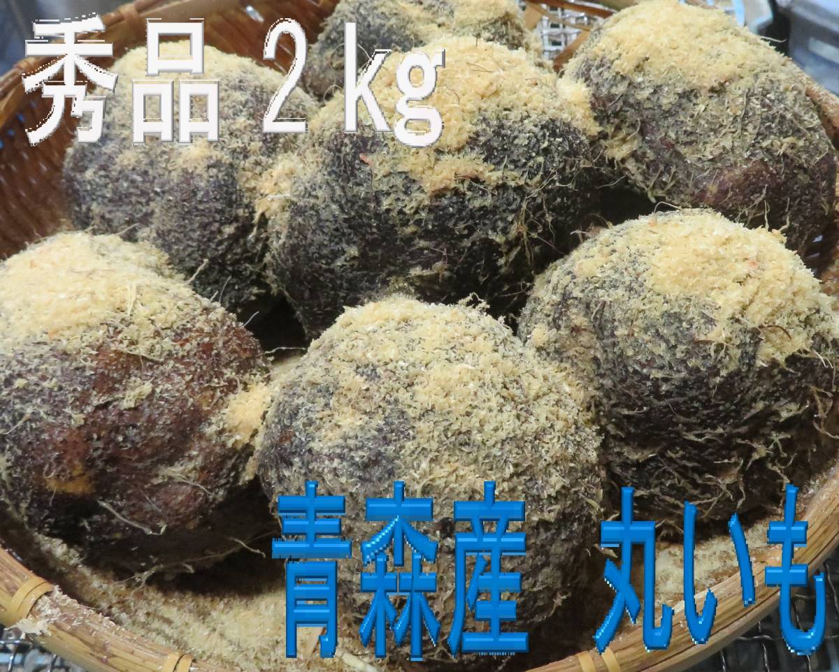 全国送料無料 プレミアム 青森産 丸いも 2キロ(4〜6個)きれいな つくね芋 山芋 とろろ 剥きやすい なめらか アクなし ギフト拍卖