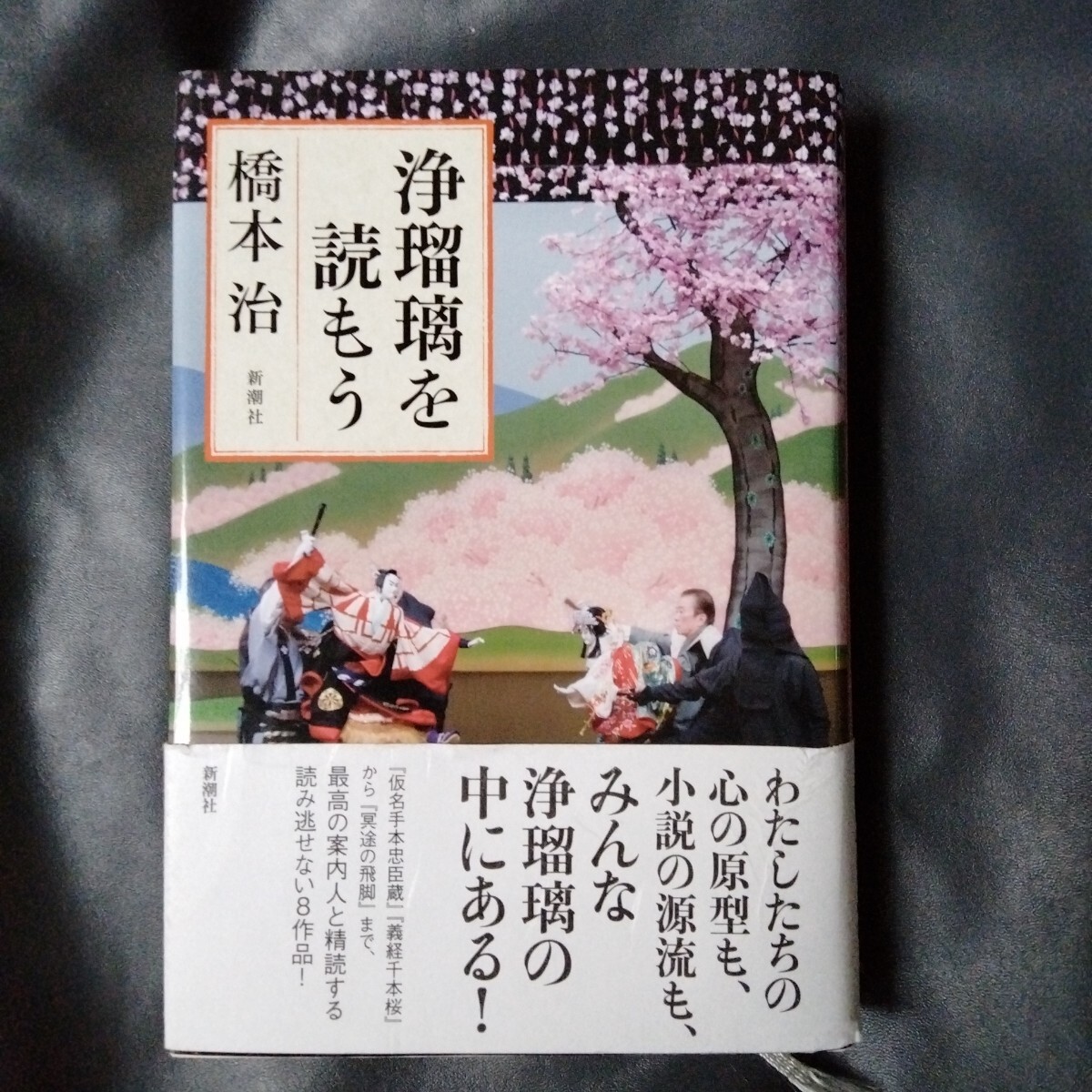 /6.12/ 浄瑠璃を読もう 橋本治/著 240912よ240901拍卖