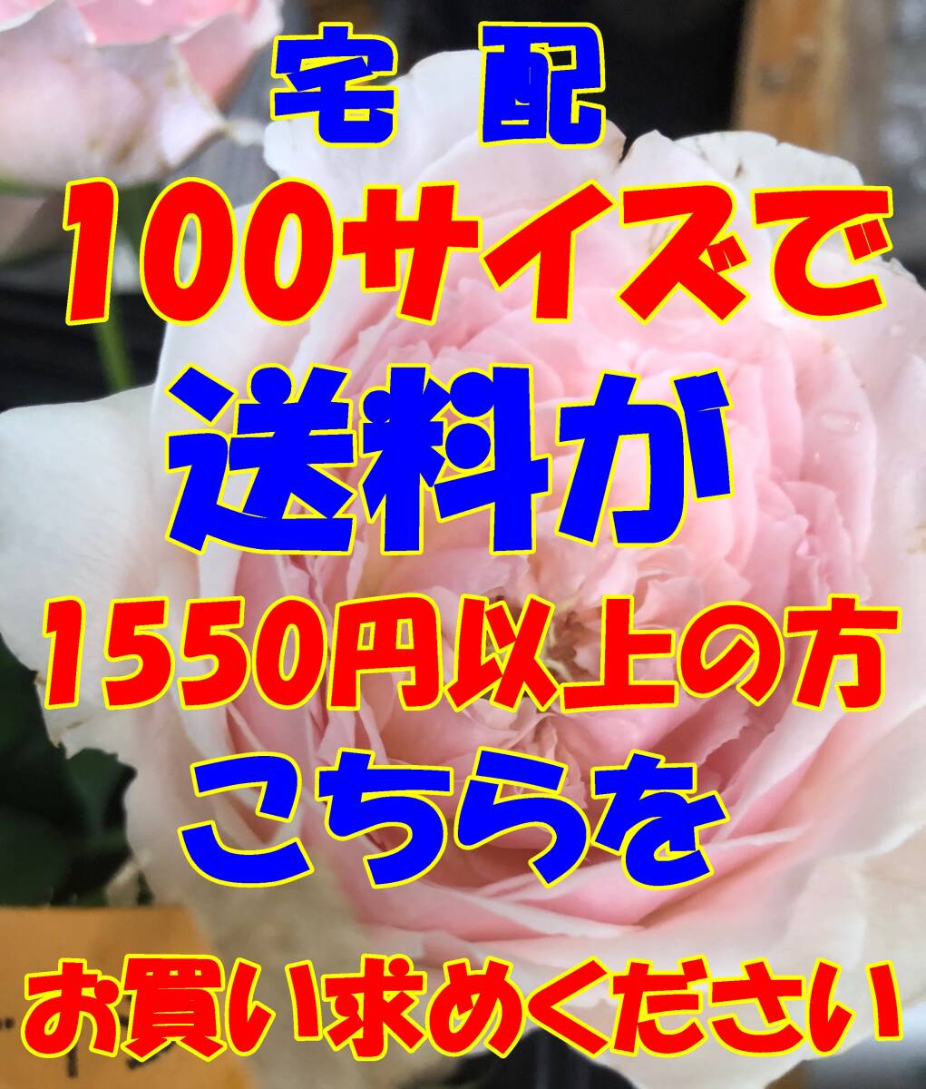 送料としてお買い求めください C100 日本全国同一金額 宅配 100サイズ迄で送料が 1550円 以上の方ヤフネコ宅急便拍卖