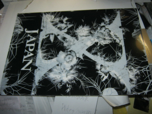 X JAPAN エックス / クリアファイル 白黒 ロゴと花 未使用 YOSHIKI 拍卖