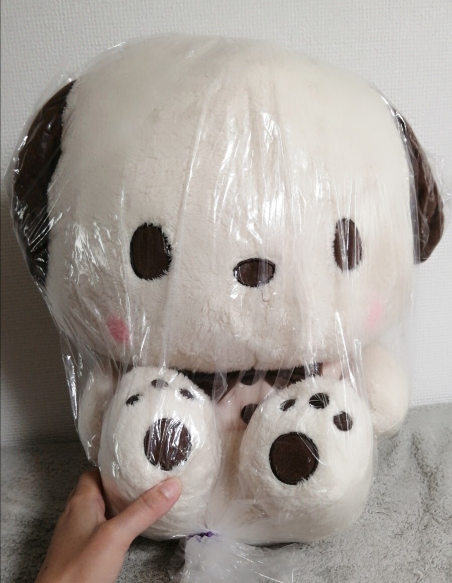 ゆるかわサンリオキャラクターズ スーパーラージぬいぐるみ ポチャッコ mocha モカ拍卖