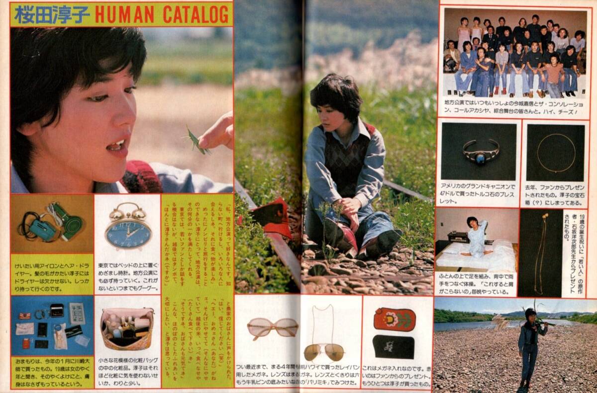 S3555 平凡 1977年 昭和52年 桜田淳子 山口百恵 ピンクレディー アグネスラム 新沼謙治 岩崎宏美 岡田奈々 キャンディーズジュニア沢田研二拍卖