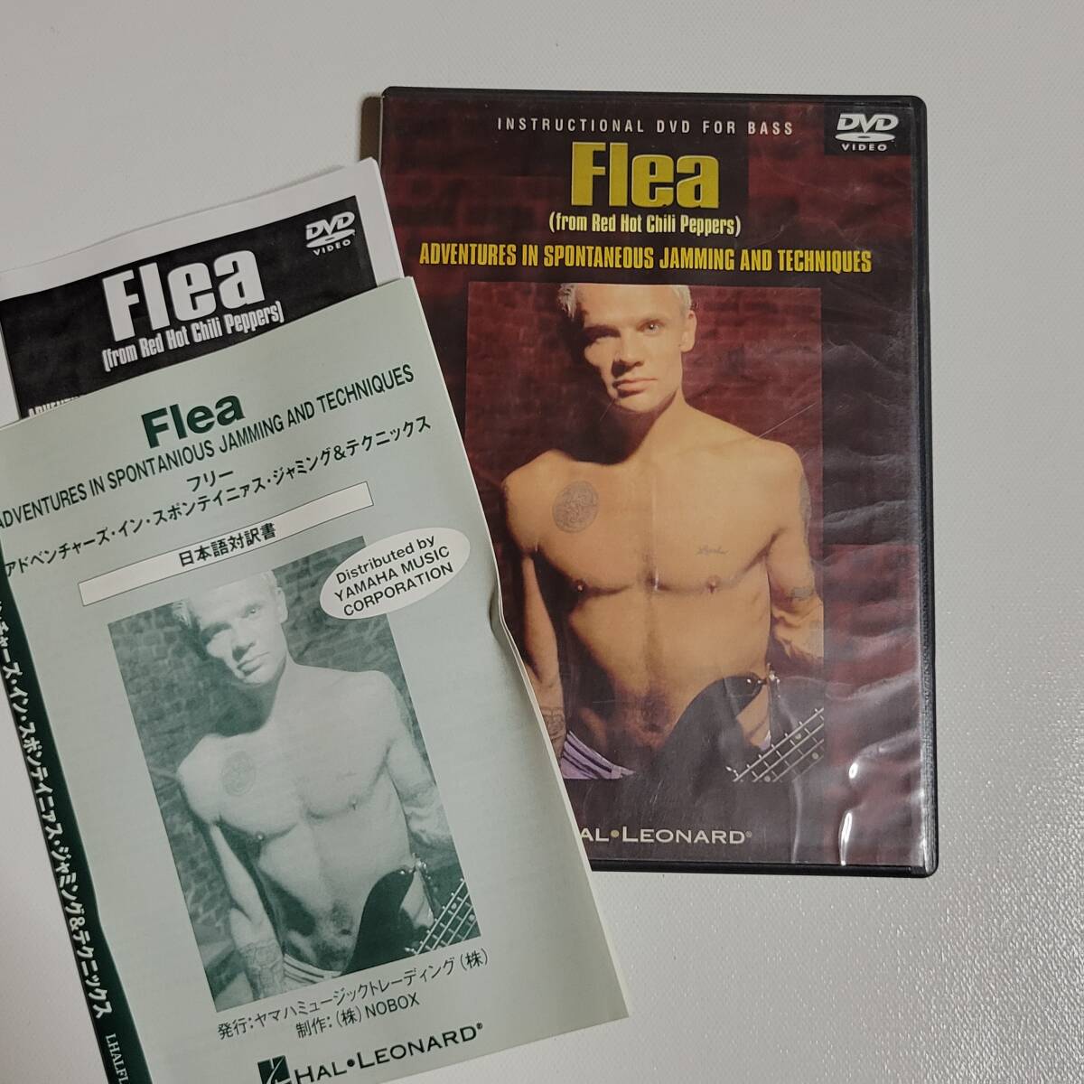 日本語対訳書付 Flea タブ譜付 教則DVD アドベンチャーズ~ フリー ベース レッドホットチリペッパーズ拍卖