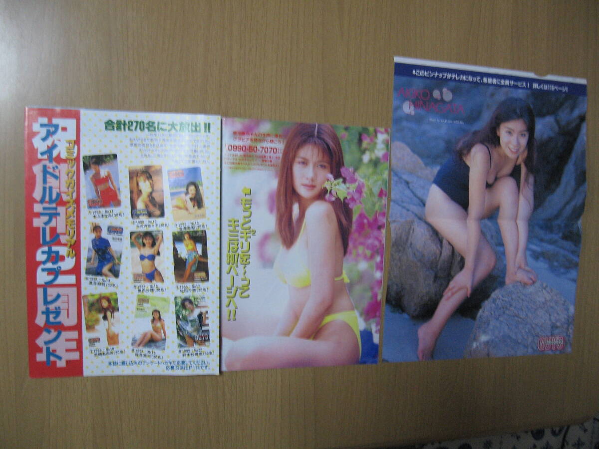 【付録ピンナップとグラビア】桂木亜沙美/雛形あきこ 水着●送料無料●コミックガイズ拍卖