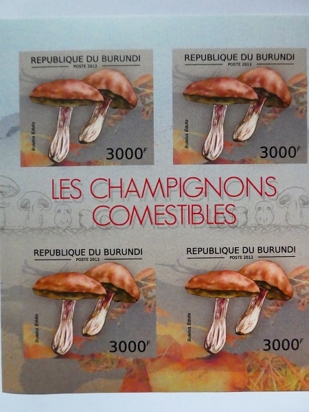 ブルンジ切手『きのこ』無目打 2012 A-d拍卖