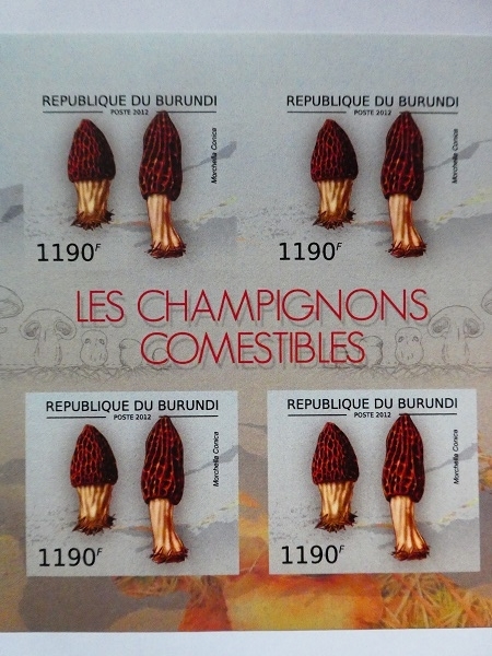 ブルンジ切手『きのこ』無目打 2012 A-c拍卖