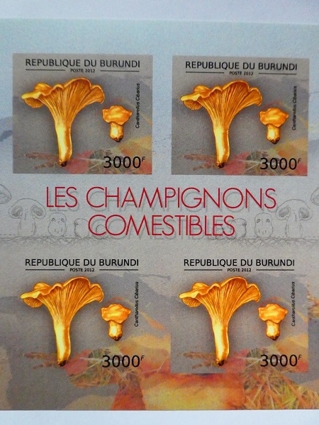 ブルンジ切手『きのこ』無目打 2012 A-e拍卖