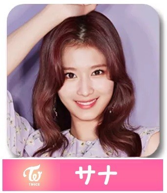 ◇TWICE◇トゥワイス◇サナ◇ ◇湊﨑 紗夏◇缶バッジ◇缶バッヂ◇複数落札まとめて依頼対応品◇クリックポスト(追跡可)発送◇拍卖