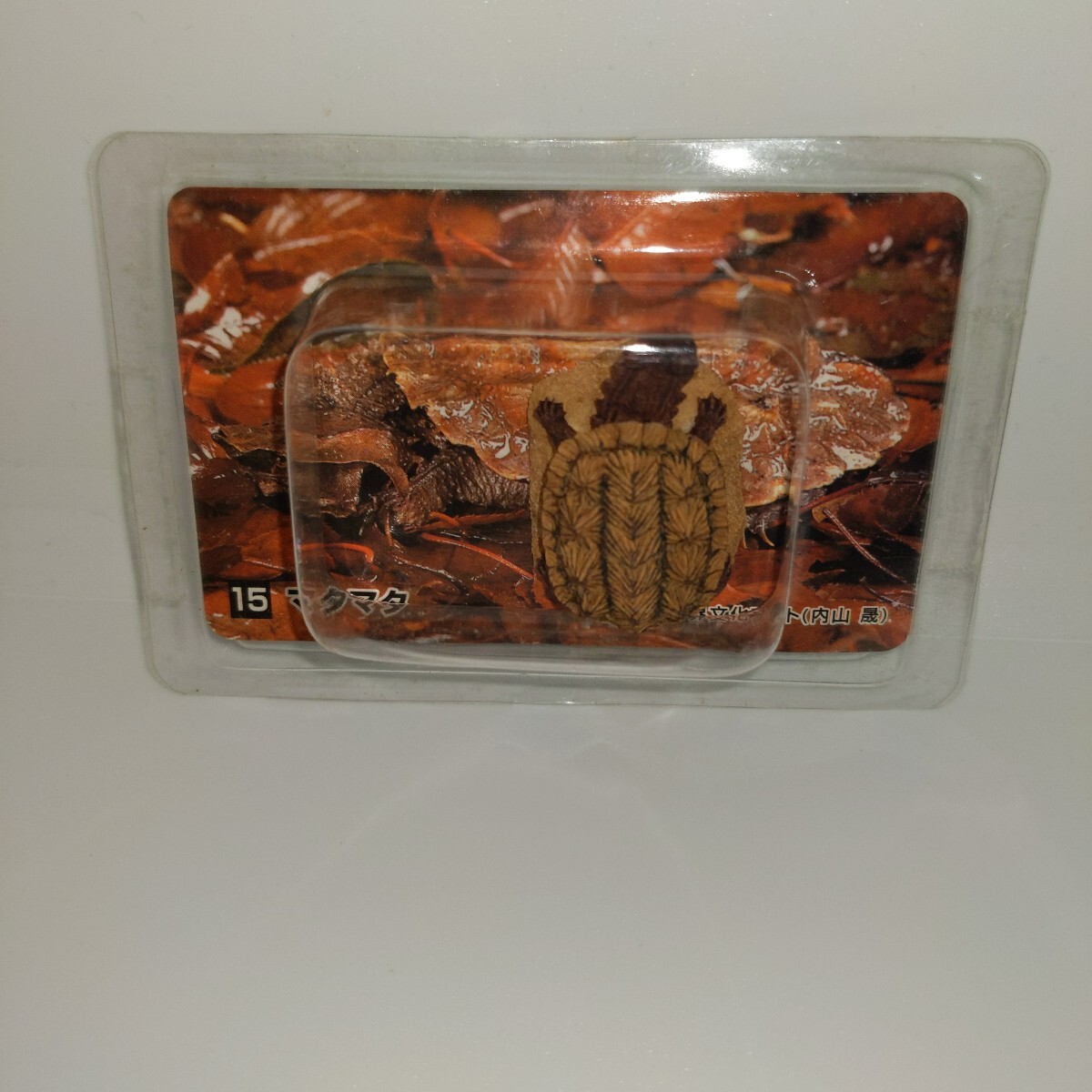‡ 当時物 食玩 カバヤ 大神秘アマゾン 15.マタマタ 亀 カメ 拍卖