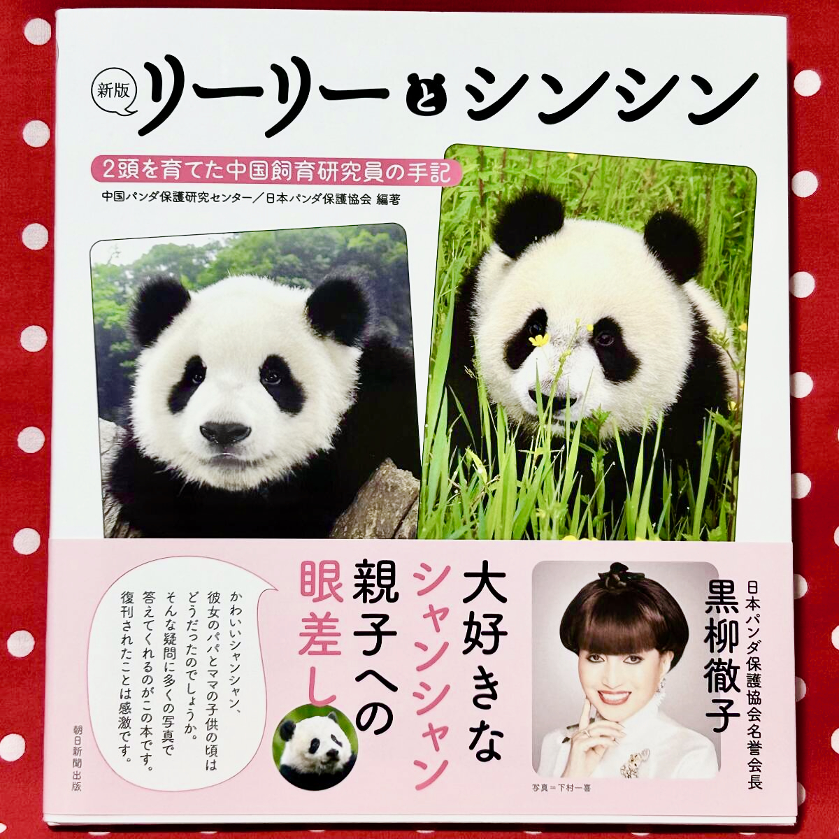 【新版『リーリーとシンシン』2頭を育てた中国飼育研究員の手記】 ジャイアントパンダ 力力 真真 シャンシャン 香香 上野動物園拍卖