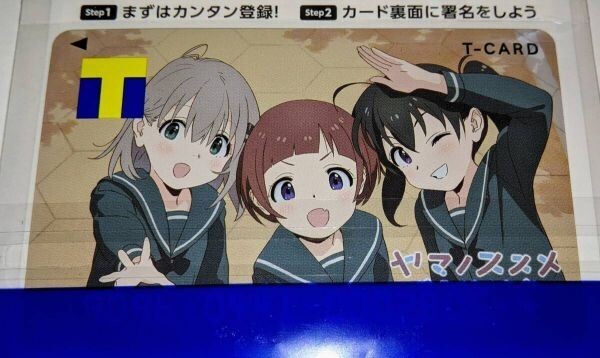 匿名配送 Vポイントカード ヤマノススメ Next Summit 新品 未登録 Tカード拍卖