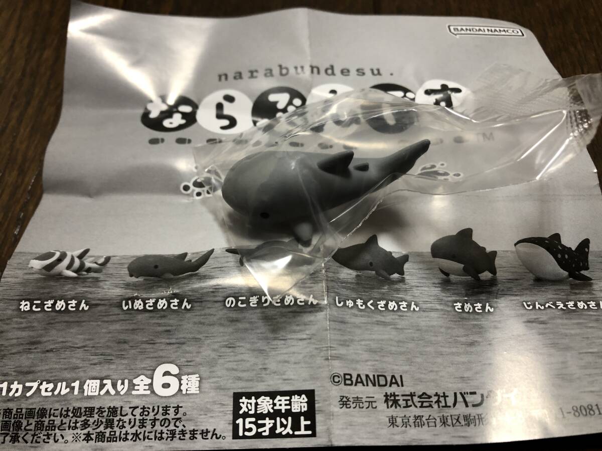 ならぶんです。 さめさん2 いぬざめさん拍卖