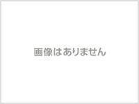 戯言シリーズ 全巻(著/ 西尾維新 )拍卖